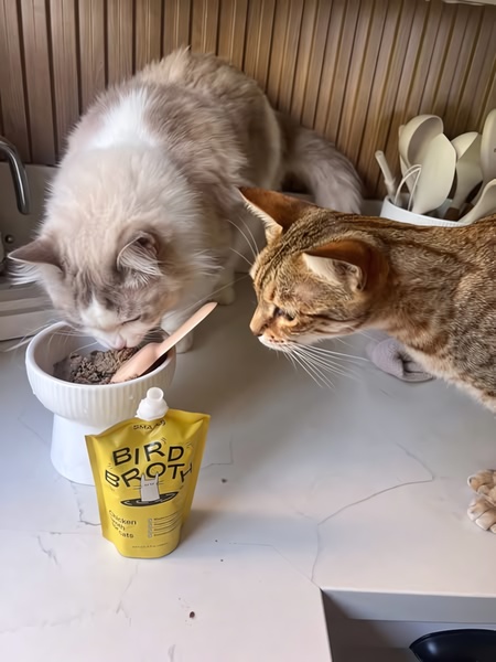 A close-up, natural kitchen setting showing a cat enjoying a meal from a cat food pouch, emphasizing product utility through a relatable pet-owner perspective.